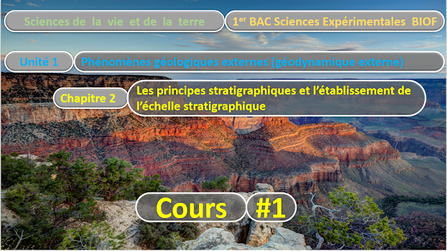 Télécharger | Cours  | 1er BAC SVT Biof | Les principes stratigraphiques et l’établissement de l’échelle stratigraphique  #1