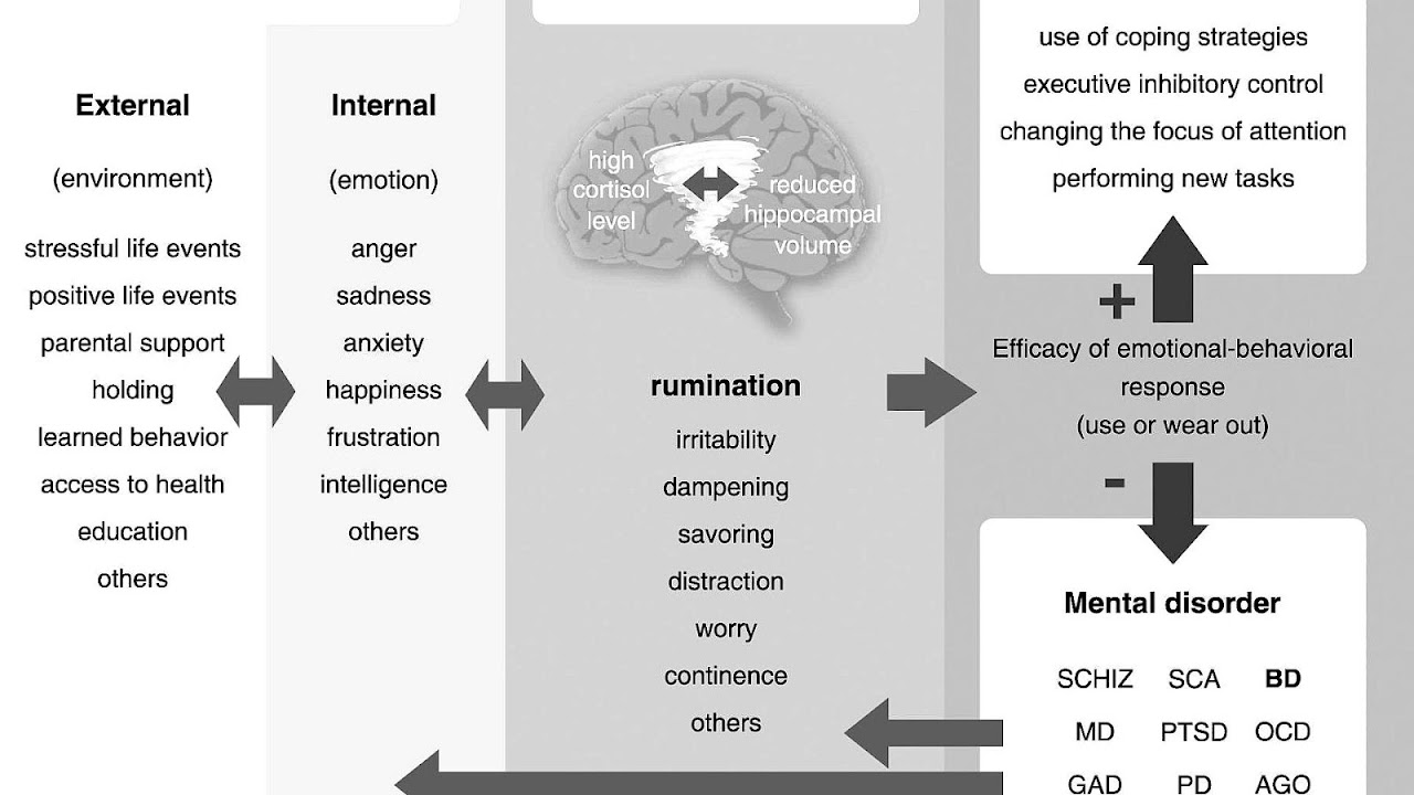 What Are The Symptoms Of Bipolar Depression