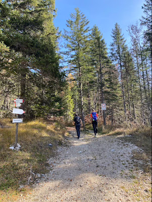 Passeggiata Malga Maraia in autunno