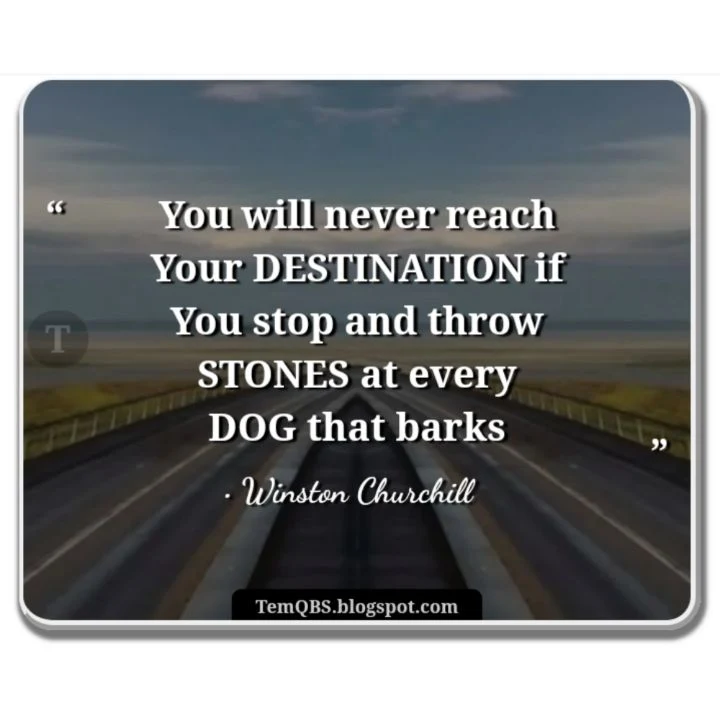 You will never reach your destination if you stop and throw stones at every dog that barks - Winston Churchill's Quote: Proverbial Words