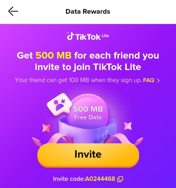 What is TikTok lite?