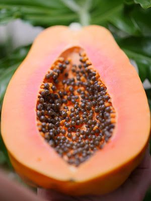 this antioxidant and enzyme rich fruit can help keep your dog healthy, learn how to add papaya to your dog's diet