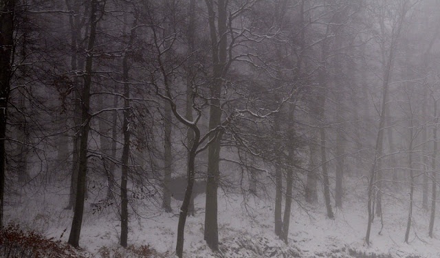 Park Oruński * Gdańsk Orunia