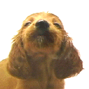 Taksa2_face_128_128