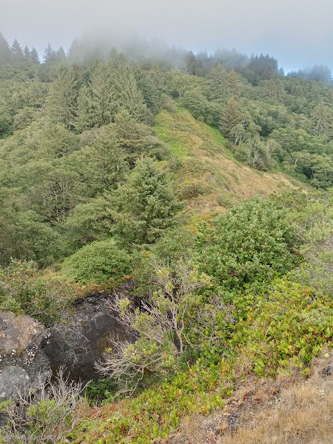 broken rock and lots of green ridge with foggy trees at the top