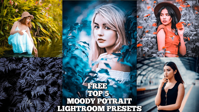 Moody portrait lightroom presets free download