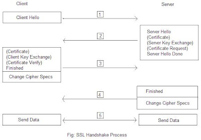 Secure Socket Layer (SSL)