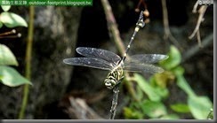 20140725_104852_064_HoMeiSan