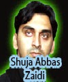 http://72jafry.blogspot.com/2014/04/shuja-abbas-zaidi-nohay-2005-to-2015.html