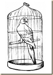 loro-en-jaula