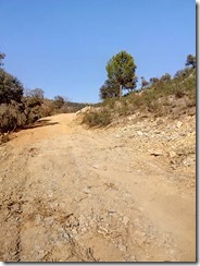 IMG-20180225-WA0008