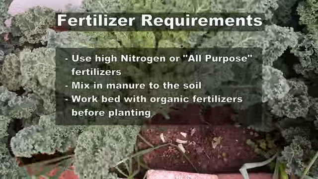 growing kale in pots, Fertilizer Requirements