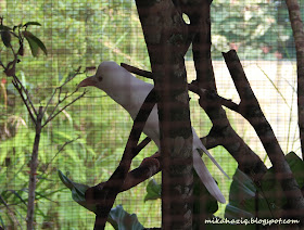 petting zoo kuala lumpur