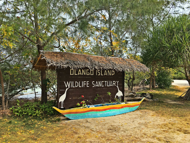 Olango Wildlife Sancturary - San Vicente, Olango Island, Lapu-Lapu City, Cebu