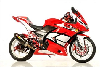 Modification Kawasaki Ninja 250R Red, Variation Bolt On Minimalist