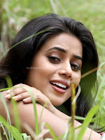 Poorna, hot, pics, from, chattakkari