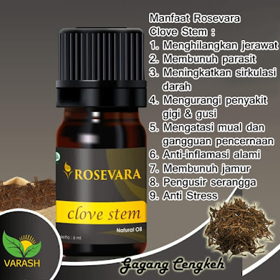 MANFAAT ROSEVARA CLOVE STEM ESSENTIAL OIL