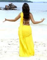 Actress, Ileana, in, Beach, Yellow, Short, Saree, Stills