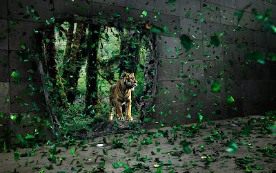 jungle wallpaper for walls