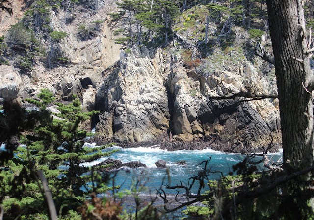 Point Lobos State Reserve, Cypress Trail, Headland Cove, Cypress Cove