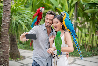 Bali bird park