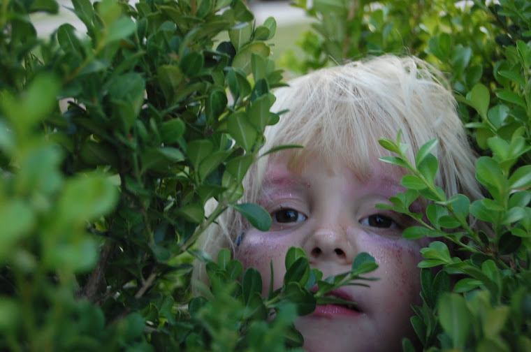 Hiding