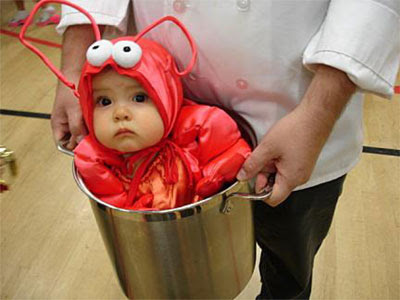 Baby Leprechaun Costume on On The Wall  Need Some Inspiration For Halloween Costumes This Year