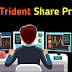 Trident Share Price Target 2022, 2023, 2025, 2030 जबरदस्त कमाई