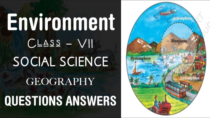 Environment class 7 Social Science (Geography) Questions Answers