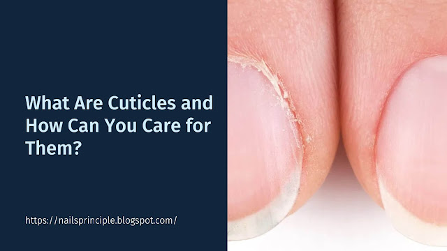 What Are Cuticles and How Can You Care for Them?
