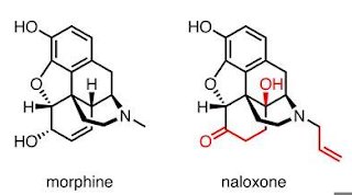 Comparison of Naloxone and Morphine