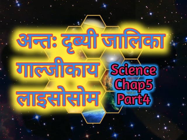 अन्तः द्रव्यी जालिका | गाल्जिकाय |लाइसोसोम के कार्य -प्रकार