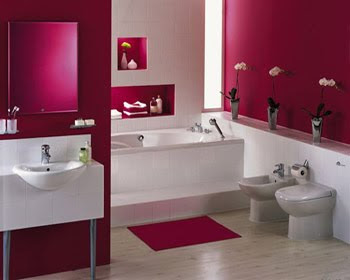 BATHROOM DECORATION-BATHROOM FIXTURE and SHOWER CURTAINS