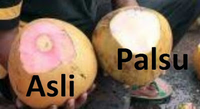 Contoh Kelapa Muda Wulung Asli  dan Kelapa Muda Wulung Palsu