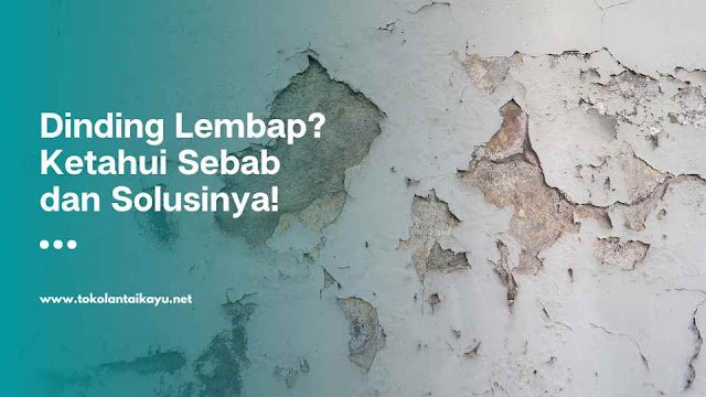 penyebab dinding lembab dan solusinya