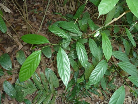 P1020577