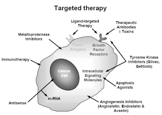 Breast Cancer Therapeutics in Asia-Pacific Markets to 2020 