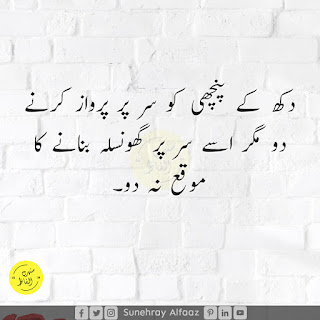 Deep and Wise Quotes in Urdu