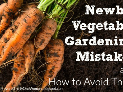 Newbie Vegetable Gardening Mistakes - and How to Avoid Them