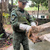 Polícia Militar do Amazonas resgata tamanduá-mirim em empresa no Distrito Industrial