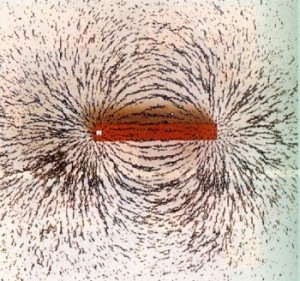 Feria de la Ciencia