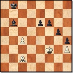 opposite_bishop_89