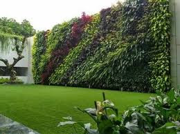 tukang_taman_vertikal_garden_sentul