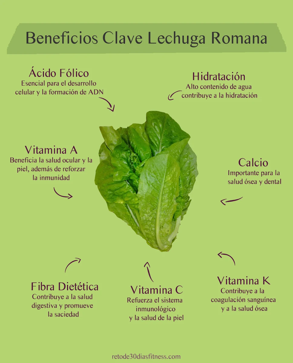 Infografía: Beneficios de la lechuga romana