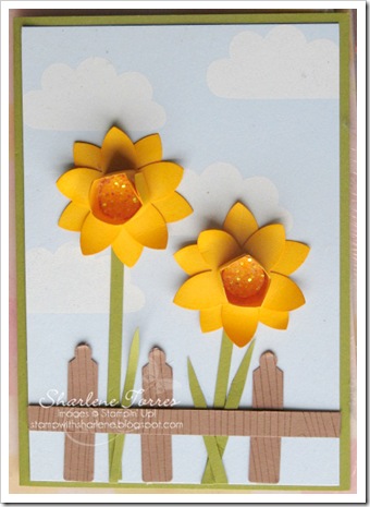 daffodils card