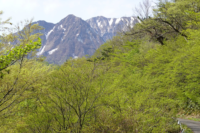 鳥取県西伯郡大山町豊房 香取から大山の眺望