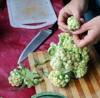 Cutting up the second cauliflower