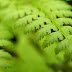Wallpaper HD Windows7