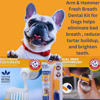 Best dog toothbrush and toothpaste , Arm & Hammer Fresh Breath Dental Kit