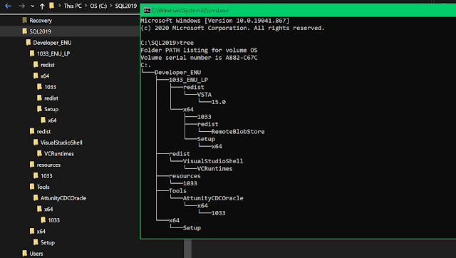 command window output as well as the explorer navigation pane side by side